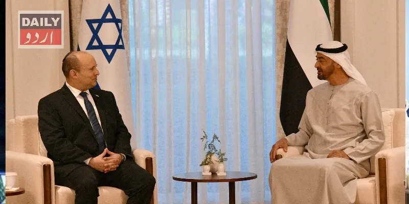 سیاست