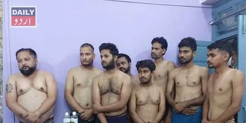 سیاست