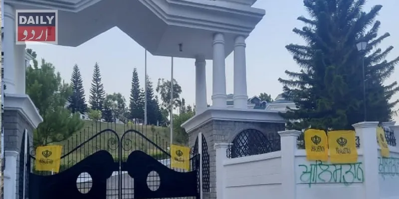 سیاست