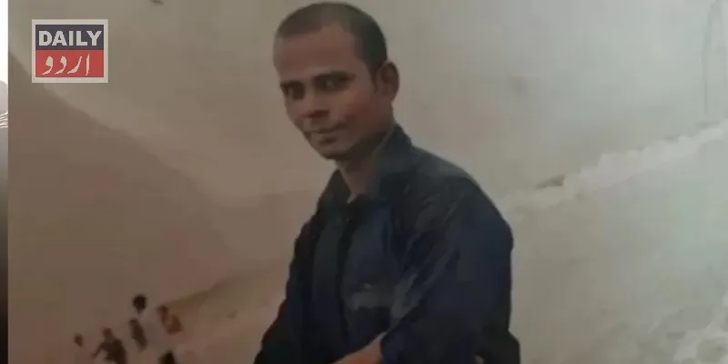 سیاست