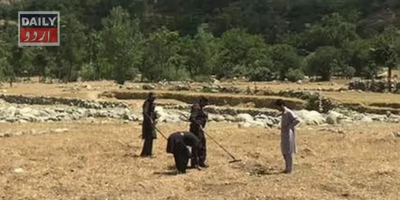 پاکستان