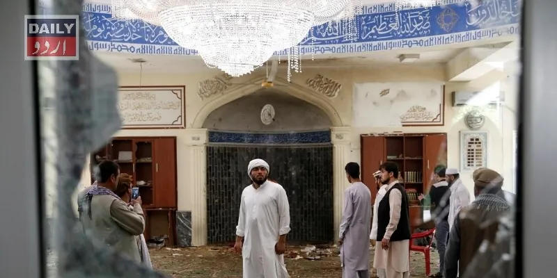دہشتگردی