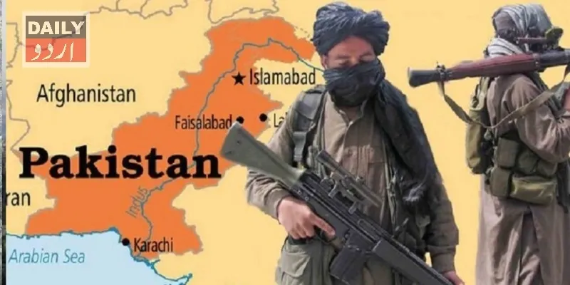سیاست