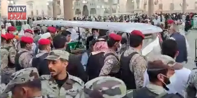 سیاست