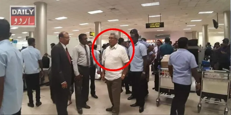 سیاست