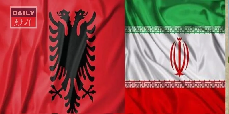 سیاست