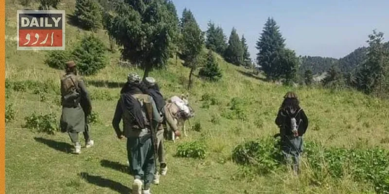 اہم خبریں