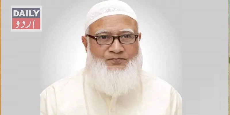 سیاست
