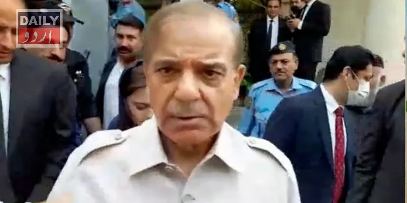 سیاست