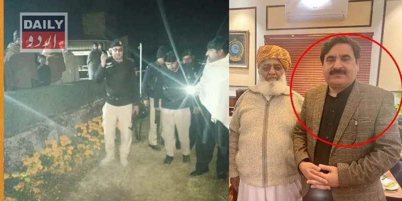 سیاست