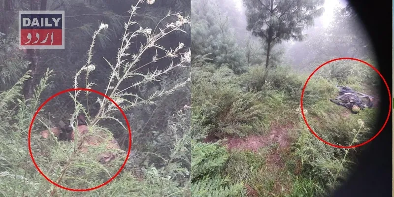 پاکستان