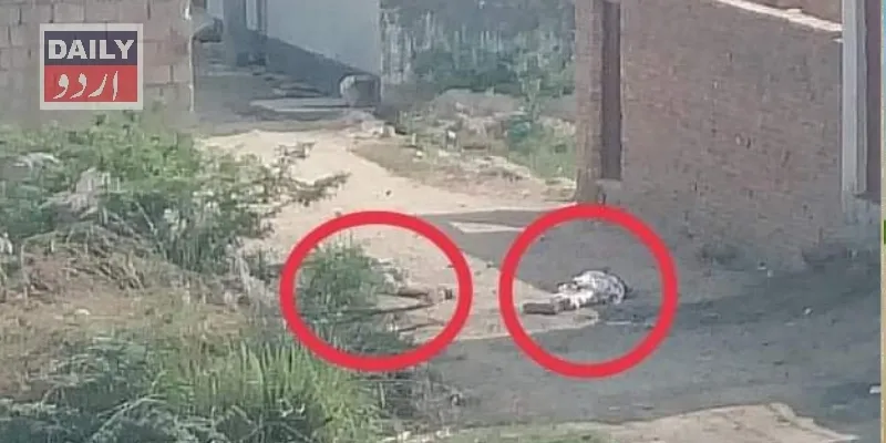 پاکستان