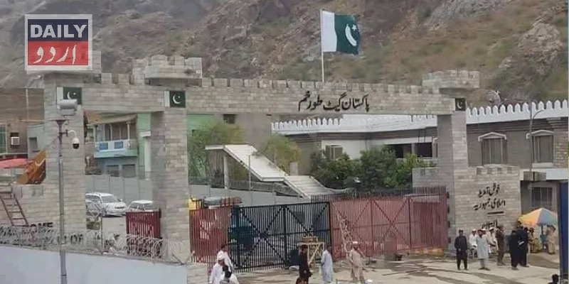 سیاست