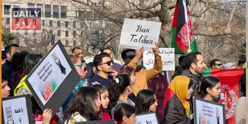 سیاست