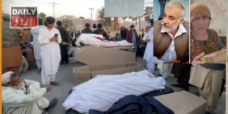 سیاست