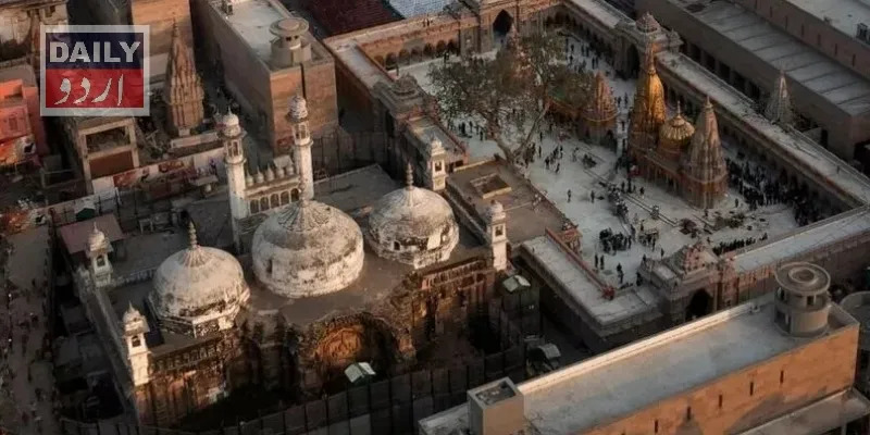 کرائمز