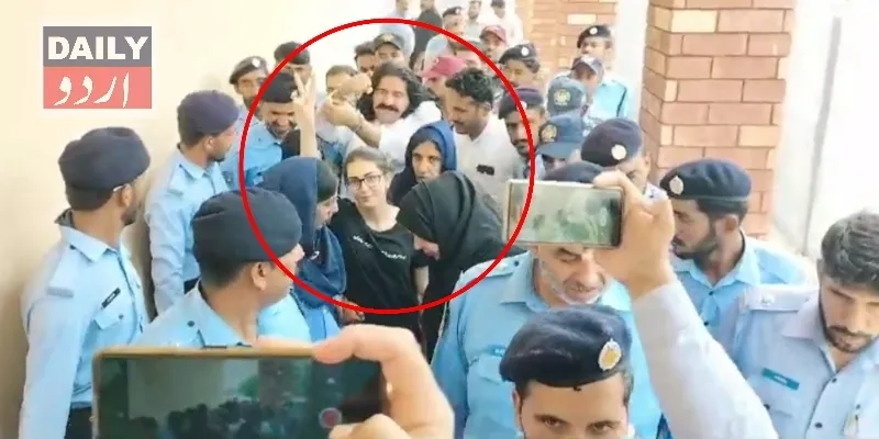 سیاست