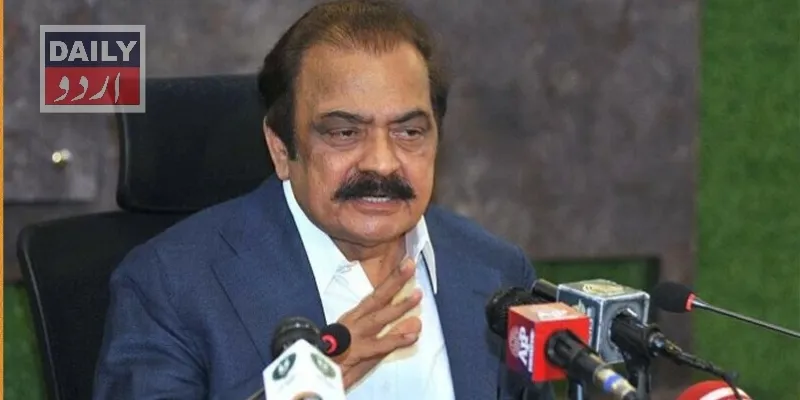سیاست