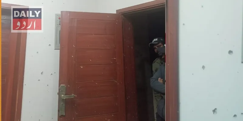 سیاست