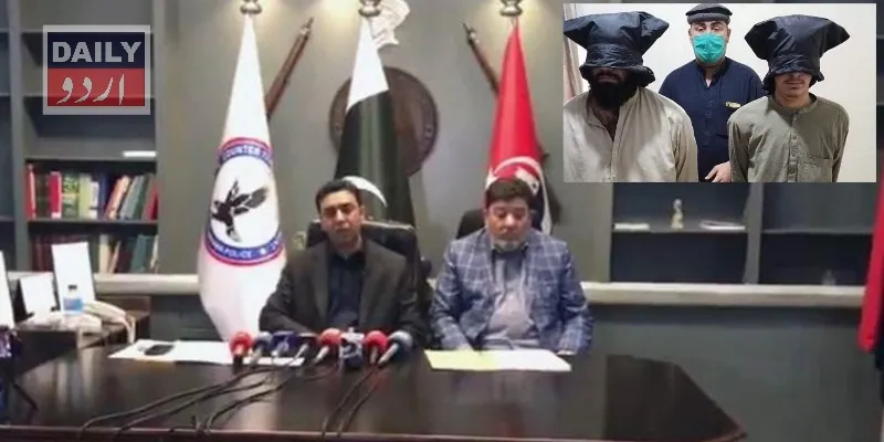 سیاست