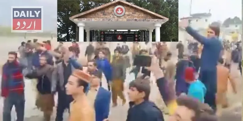 سیاست