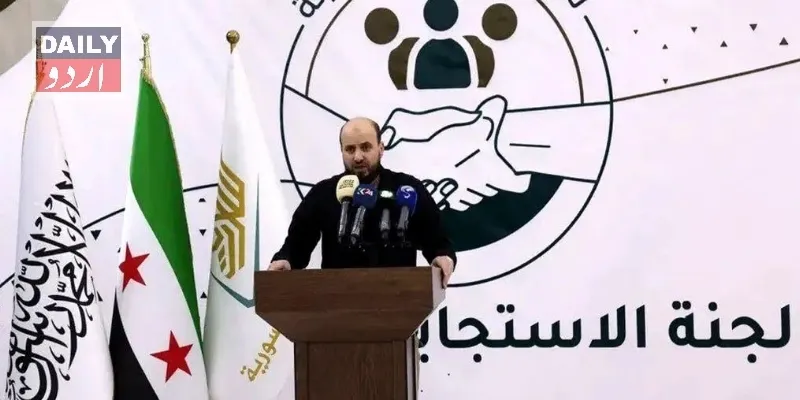 سیاست