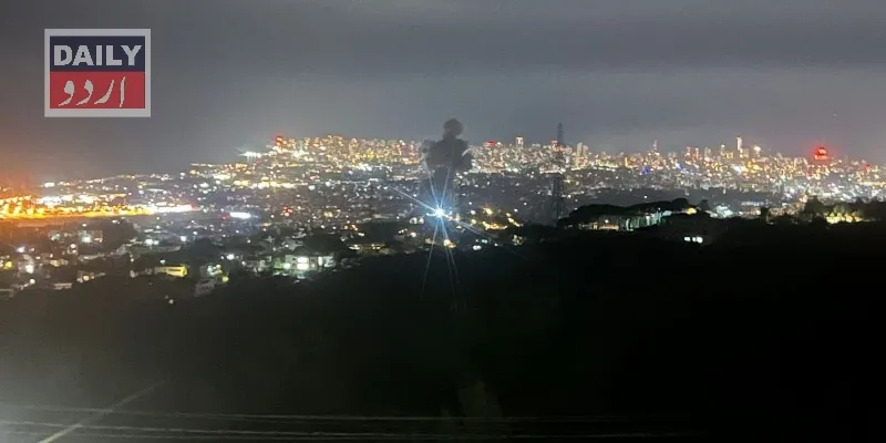 سیاست