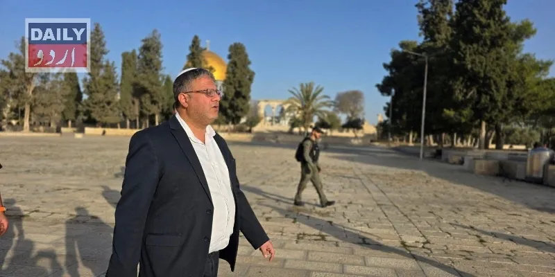 سیاست