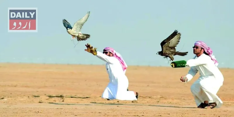 پاکستان