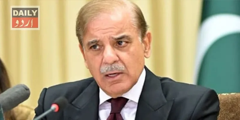 سیاست
