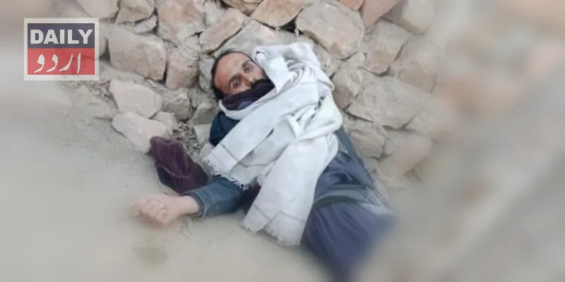 دہشتگردی