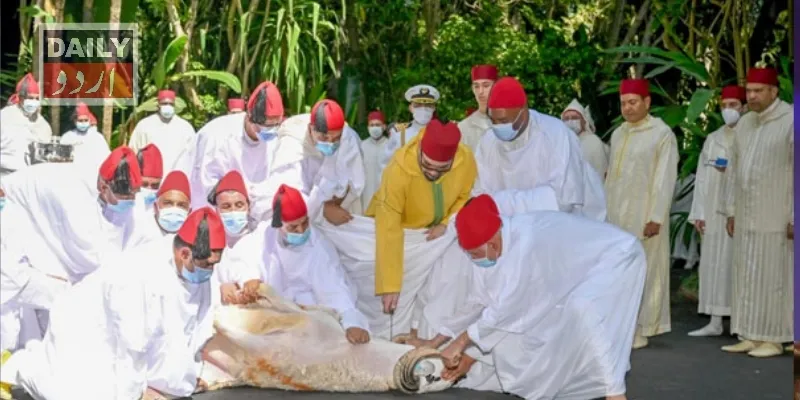 بین الاقوامی