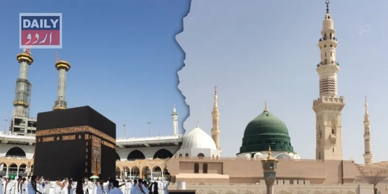 سیاست
