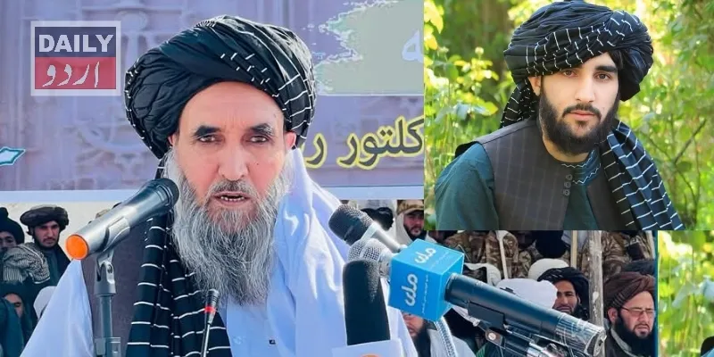 دہشتگردی