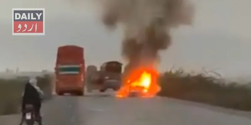 دہشتگردی