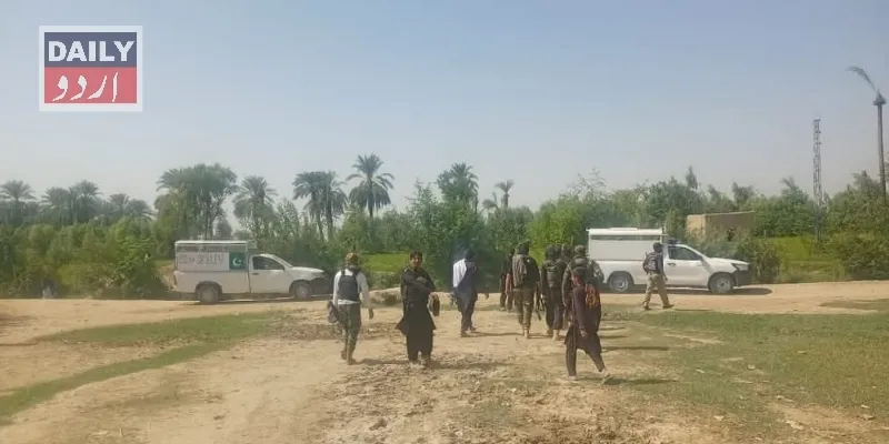 دہشتگردی