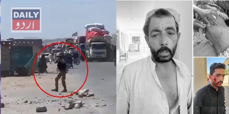 سیاست