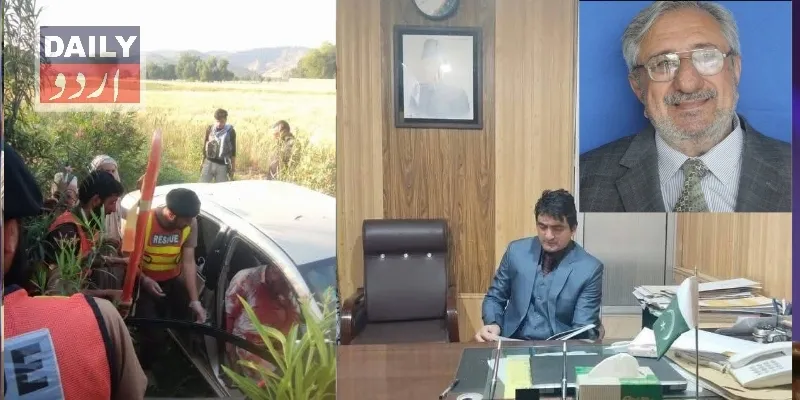 سیاست