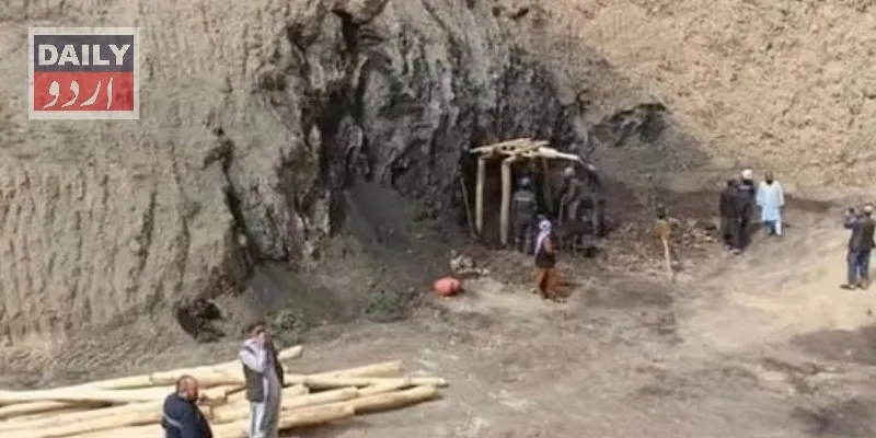 کاروبار