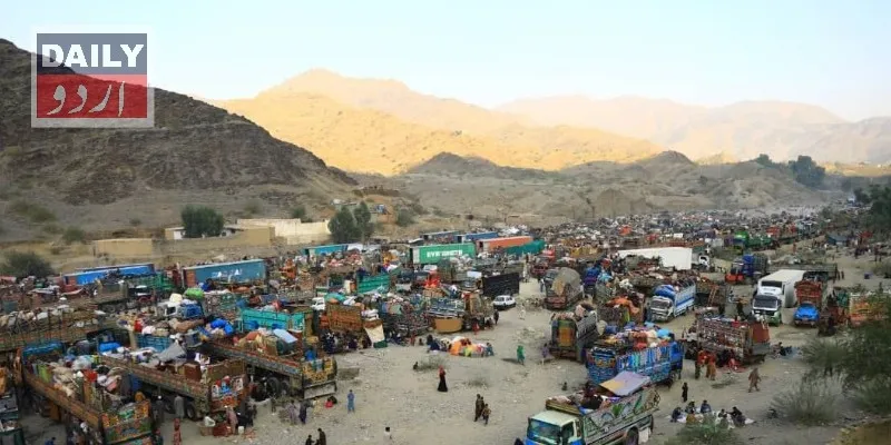 پناہ گزین/تارکین وطن