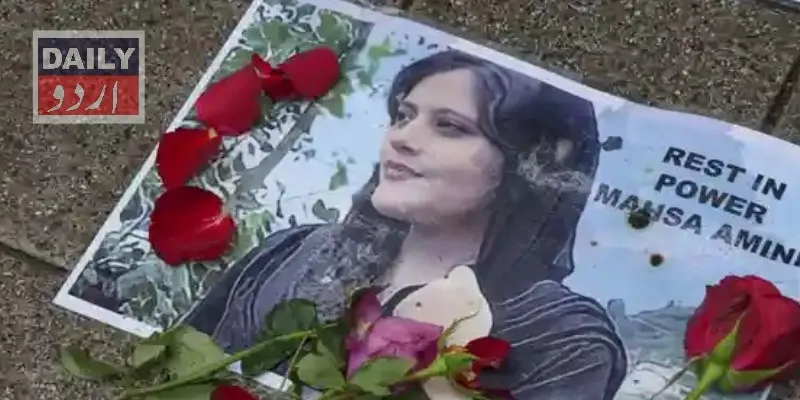 سیاست