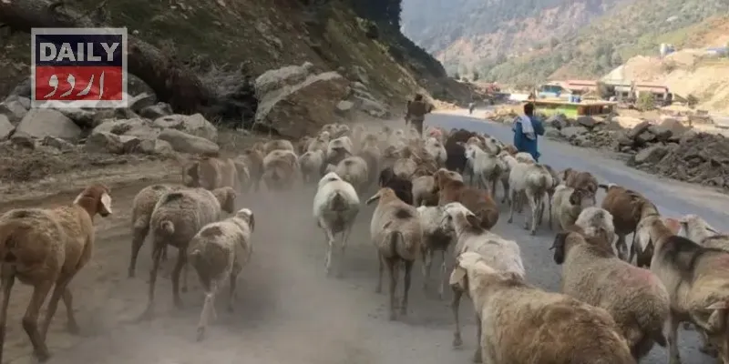 پاکستان