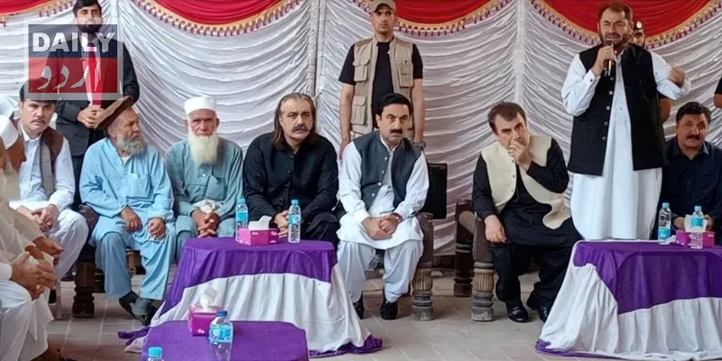 سیاست